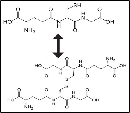 (Glutathione - reduced)  -