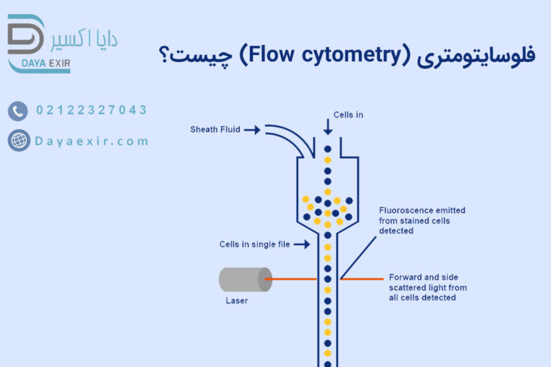 فلوسایتومتری (Flow cytometry) چیست؟ | دایا اکسیر