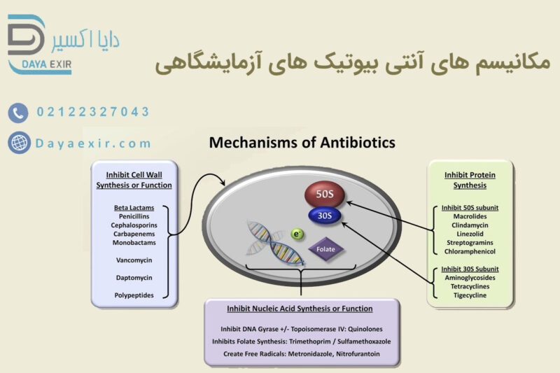 آنتی بیوتیک ها براساس مکانیم اثر - خرید آنتی بیوتیک های آزمایشگاهی | دایا اکسیر