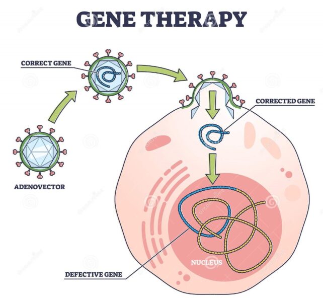 ژن درمانی چیست؟ | دایا اکسیر
