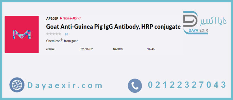 آنتی بادی IgG ضد خوکچه هندی بز، کونژوگه HRP (Goat Anti-Guinea Pig IgG Antibody, HRP conjugate) | دایا اکسیر