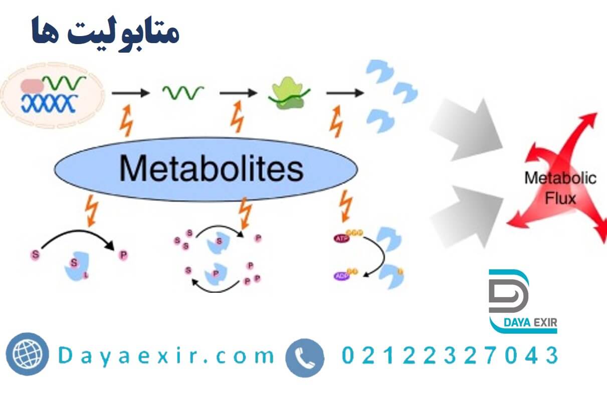 متابولیت