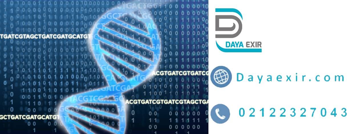 کج شدن و کشیدگی DNA