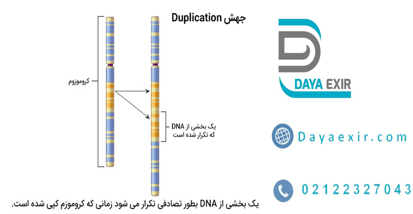 کج شدن و کشیدگی DNA