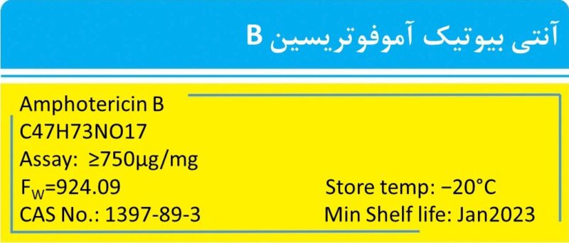 خرید آمفوتریسین B - آنتی بیوتیک آزمایشگاهی (Amphotericin B)