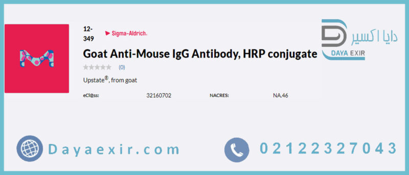 خرید آنتی بادی ضد موش IgG بز، کونژوگه HRP (Goat Anti-Mouse IgG Antibody, HRP conjugate) سیگما آلدریچ