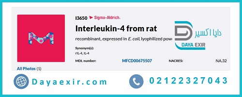 خرید اینترلوکین -4 از موش صحرایی  سیگما آلدریچ